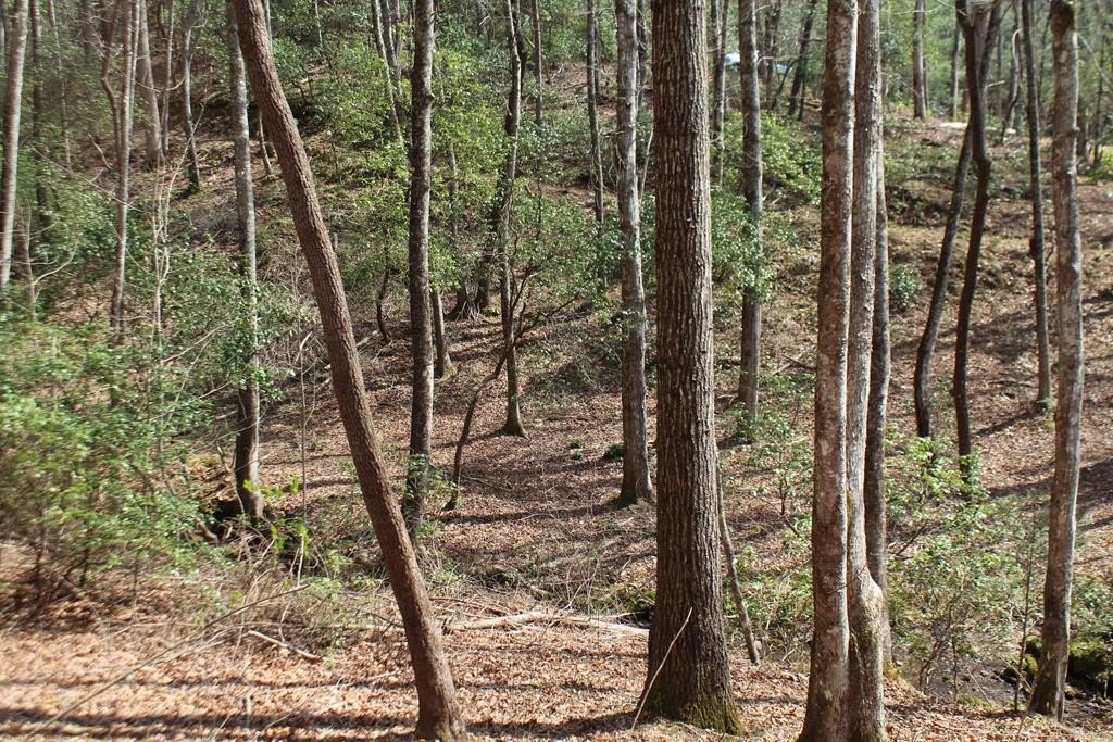 Other - Lot 25 Shelton Springs Drive, Hayesville, NC