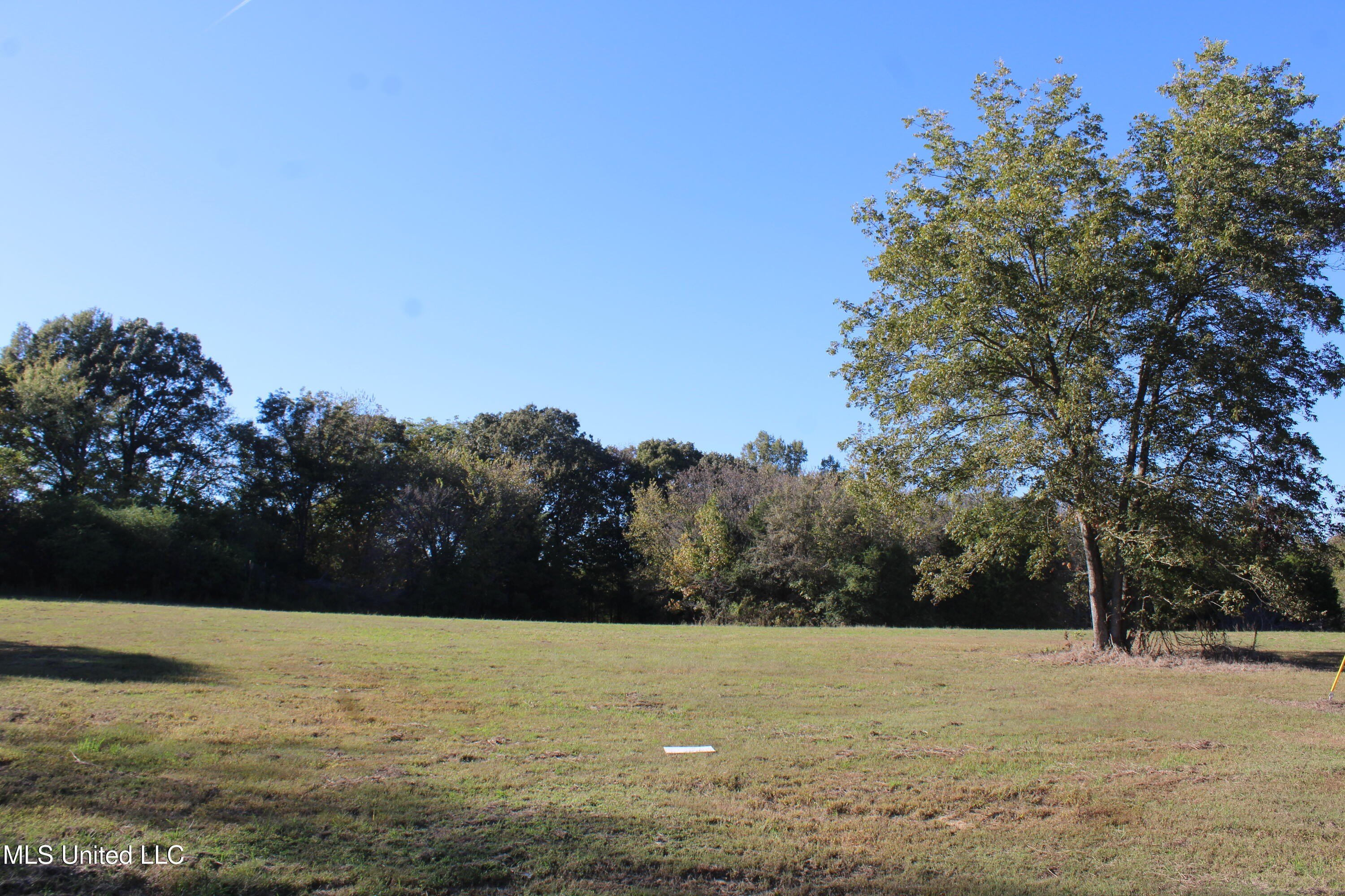 Single Family - 133 Bull Horn Road, Como, MS