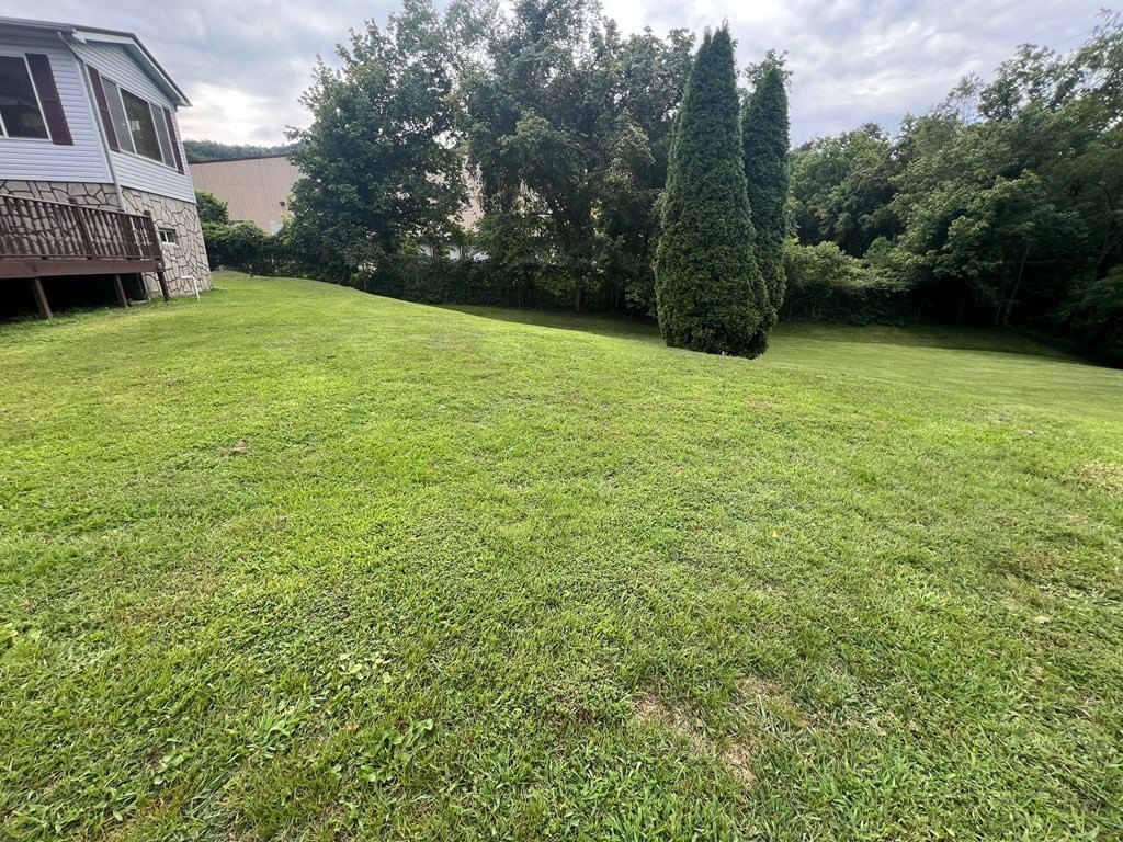 Single Family 4BR 3BA - 435 RT 52 North, Williamson, WV