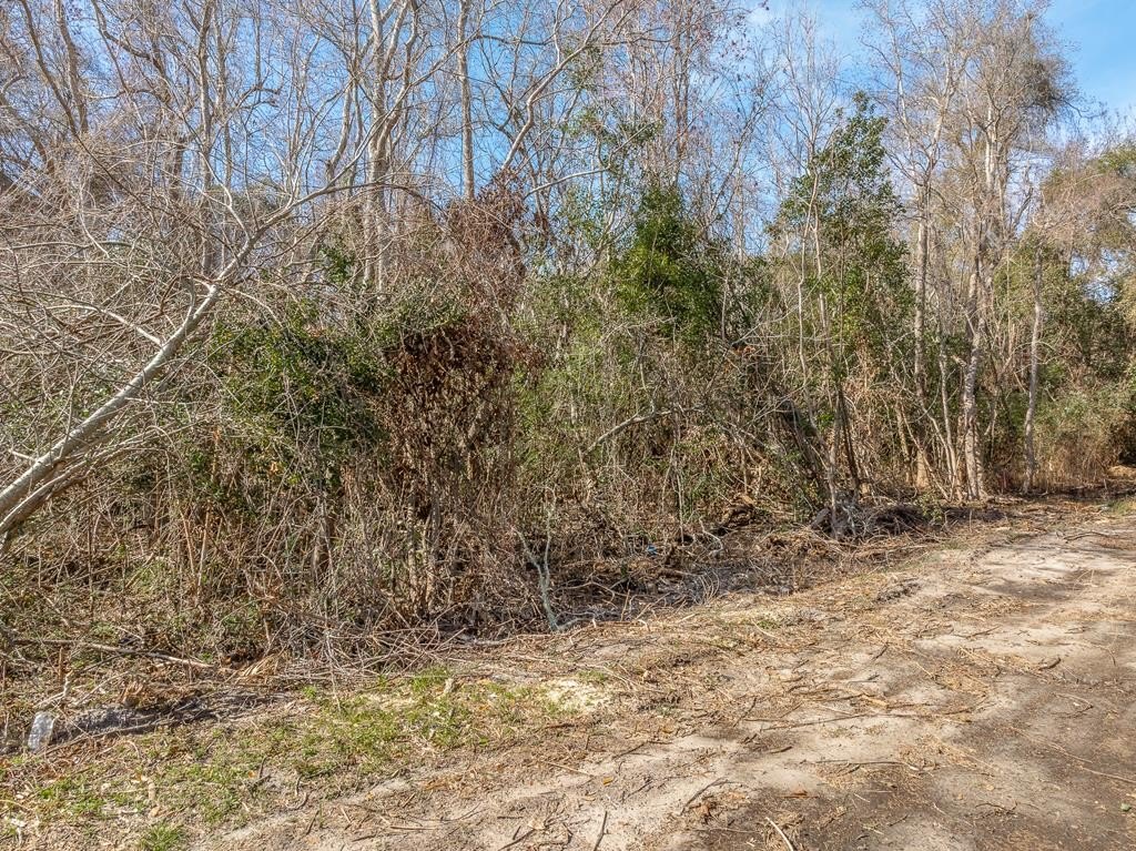 Other - 222 23rd Ave lot: L20&21/B233, Apalachicola, FL