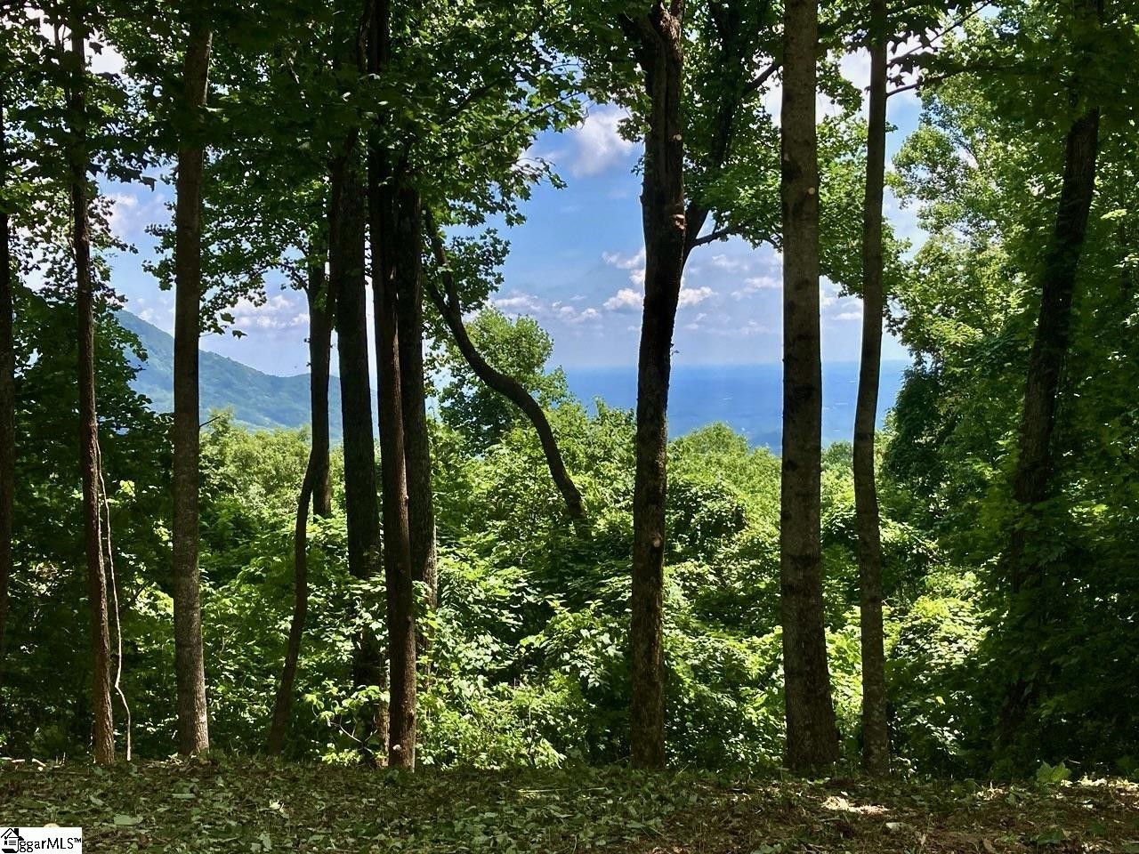 Other - 100 Deep Haven Lane, Landrum, SC