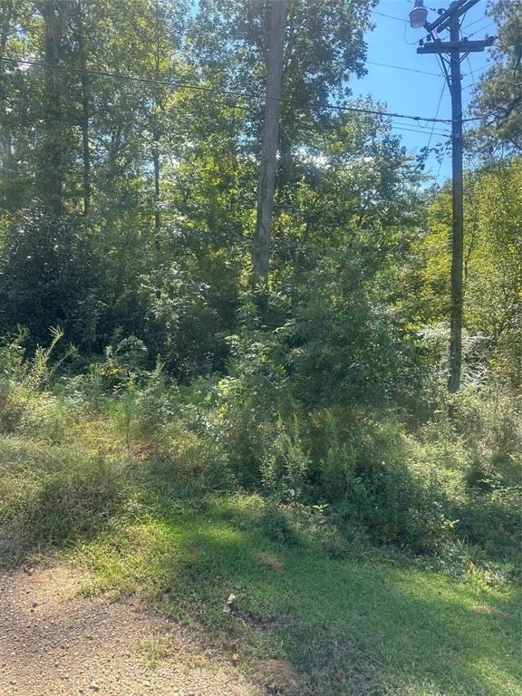 Other - Dale lot: 4, Jonesboro, LA