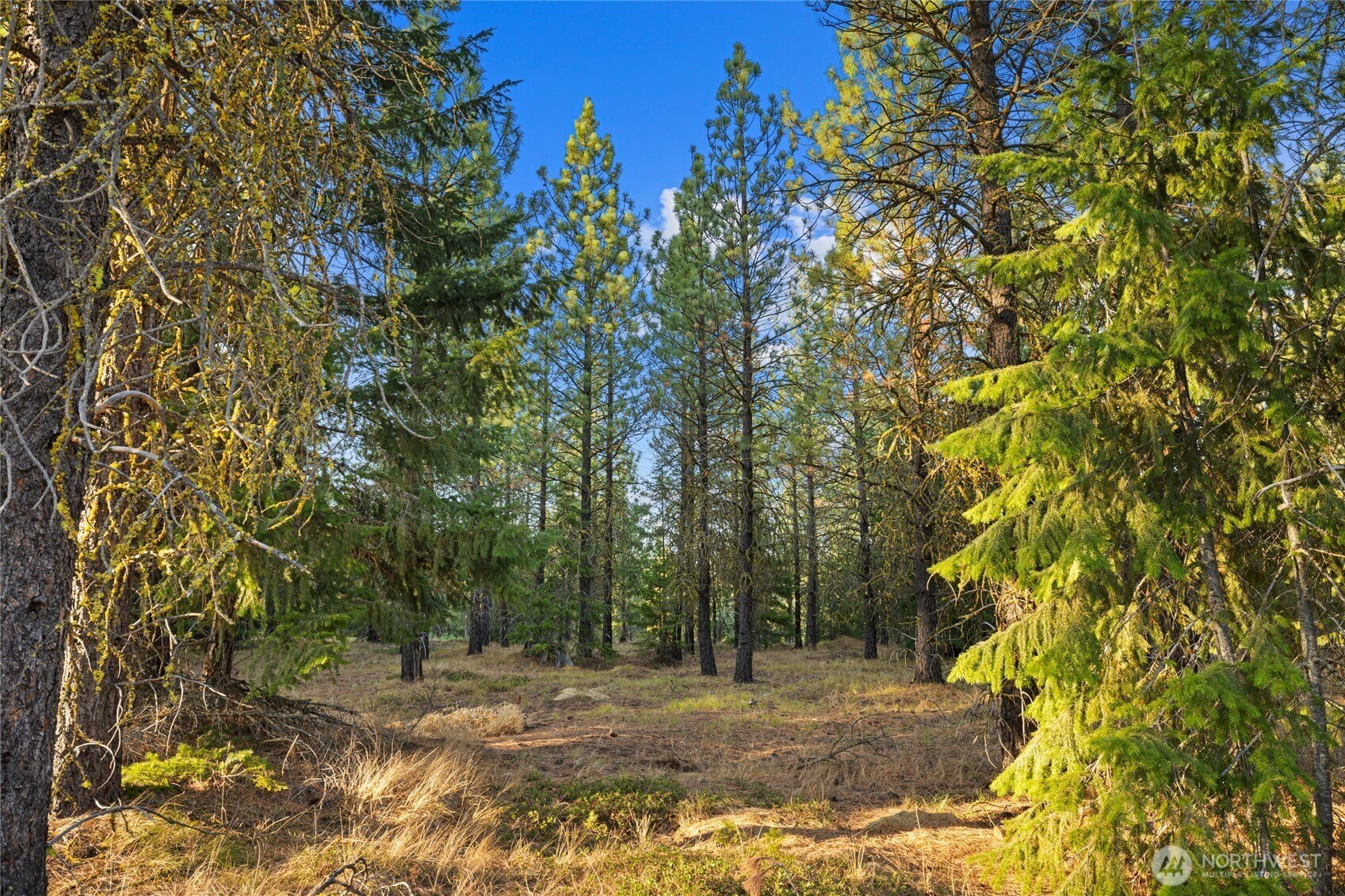 Other - 131 Gold Leaf Lane, Cle Elum, WA