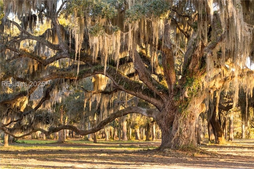 Other - 124 Whitehall Drive, Beaufort, SC