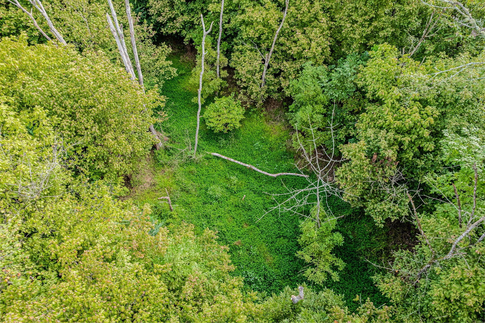 Single Family - County Road 432, Englewood, TN