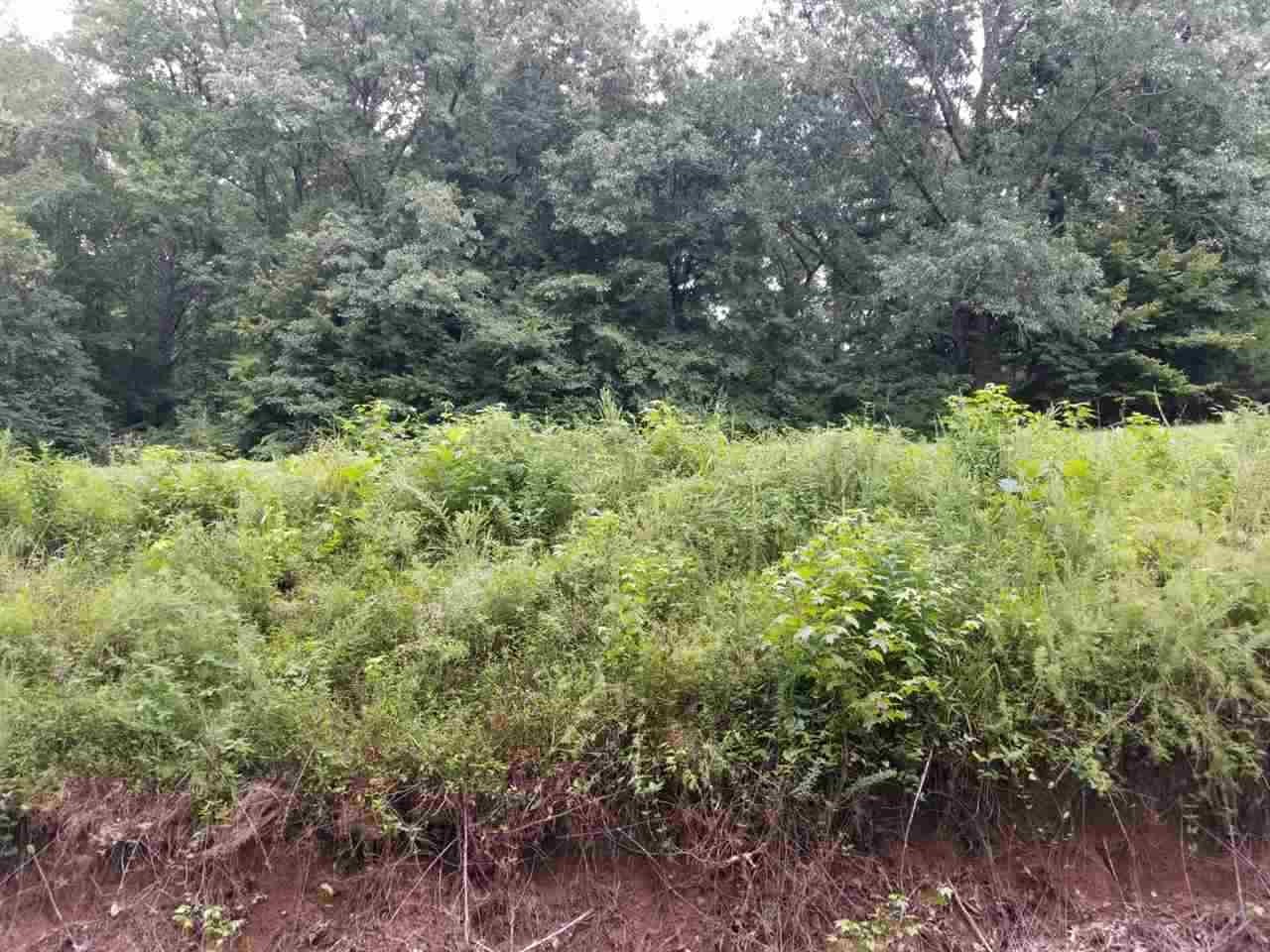Other - 205 Parkburg (Lot 9) Road, Jackson, TN