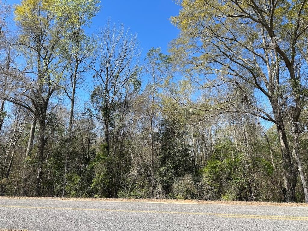 Other - 825 Co Rd 2205, Goshen, AL