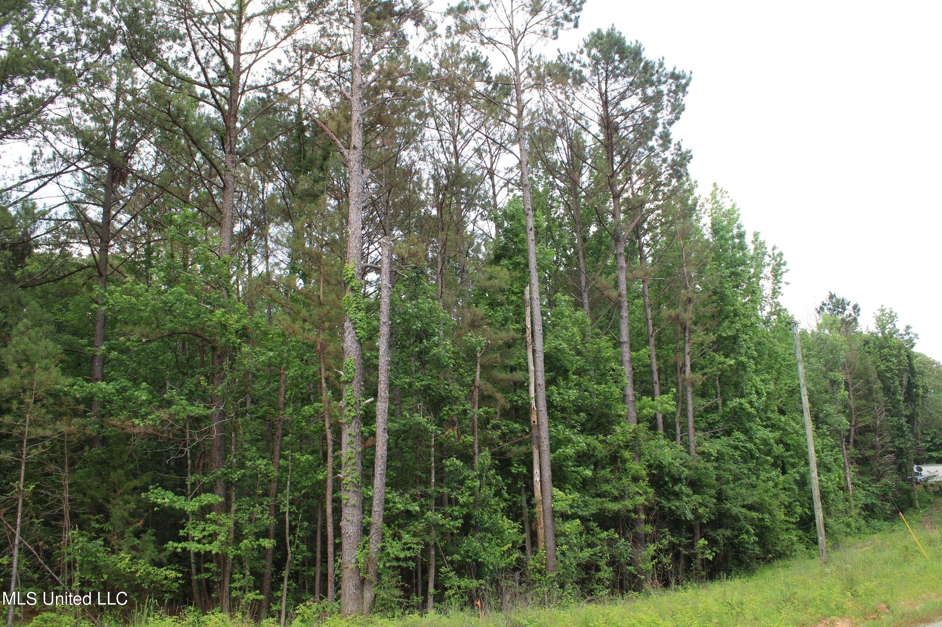 6400 Tate Marshall Rd  