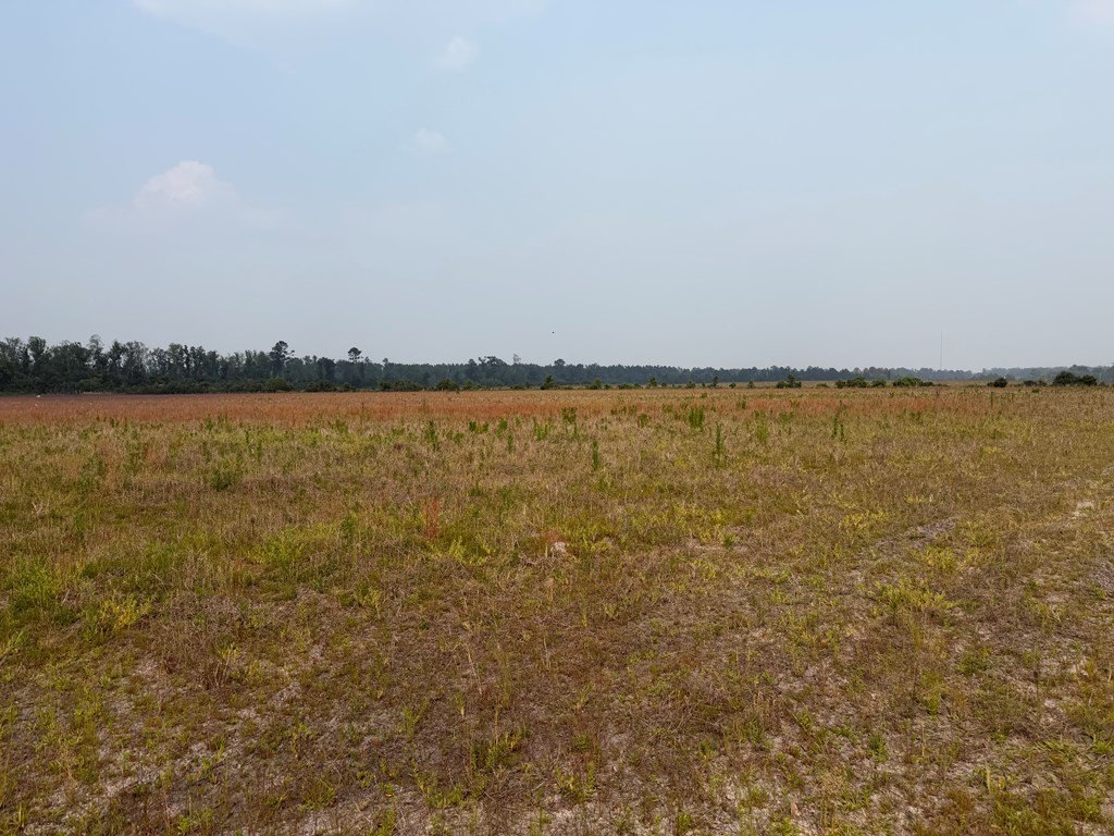 Single Family - 0 Moore Road Tract 1, Naylor, GA