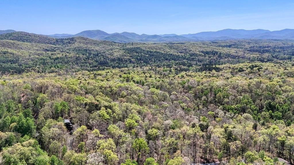 Other - 36.78 Ac Old Hwy 76, Morganton, GA