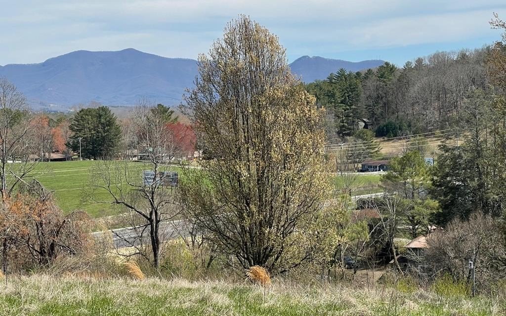 Other - Lot 8 Cabin Drive, HAYESVILLE, NC