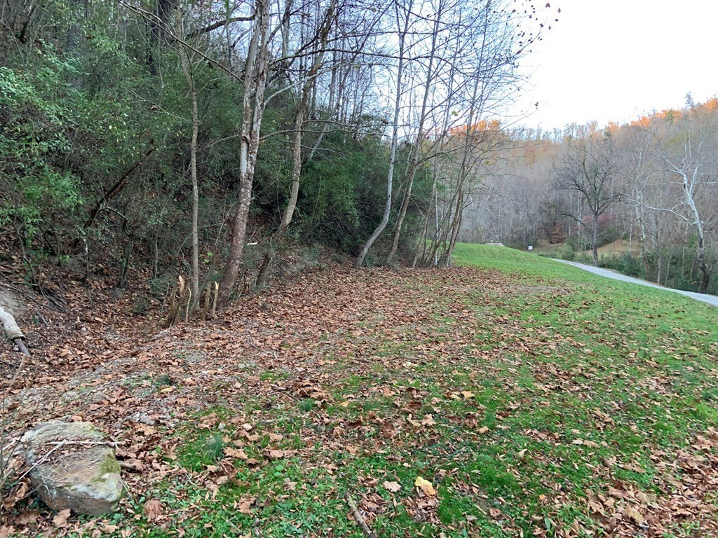 Other - 0 Walnut Drive, Abbott Creek, Prestonsburg, KY