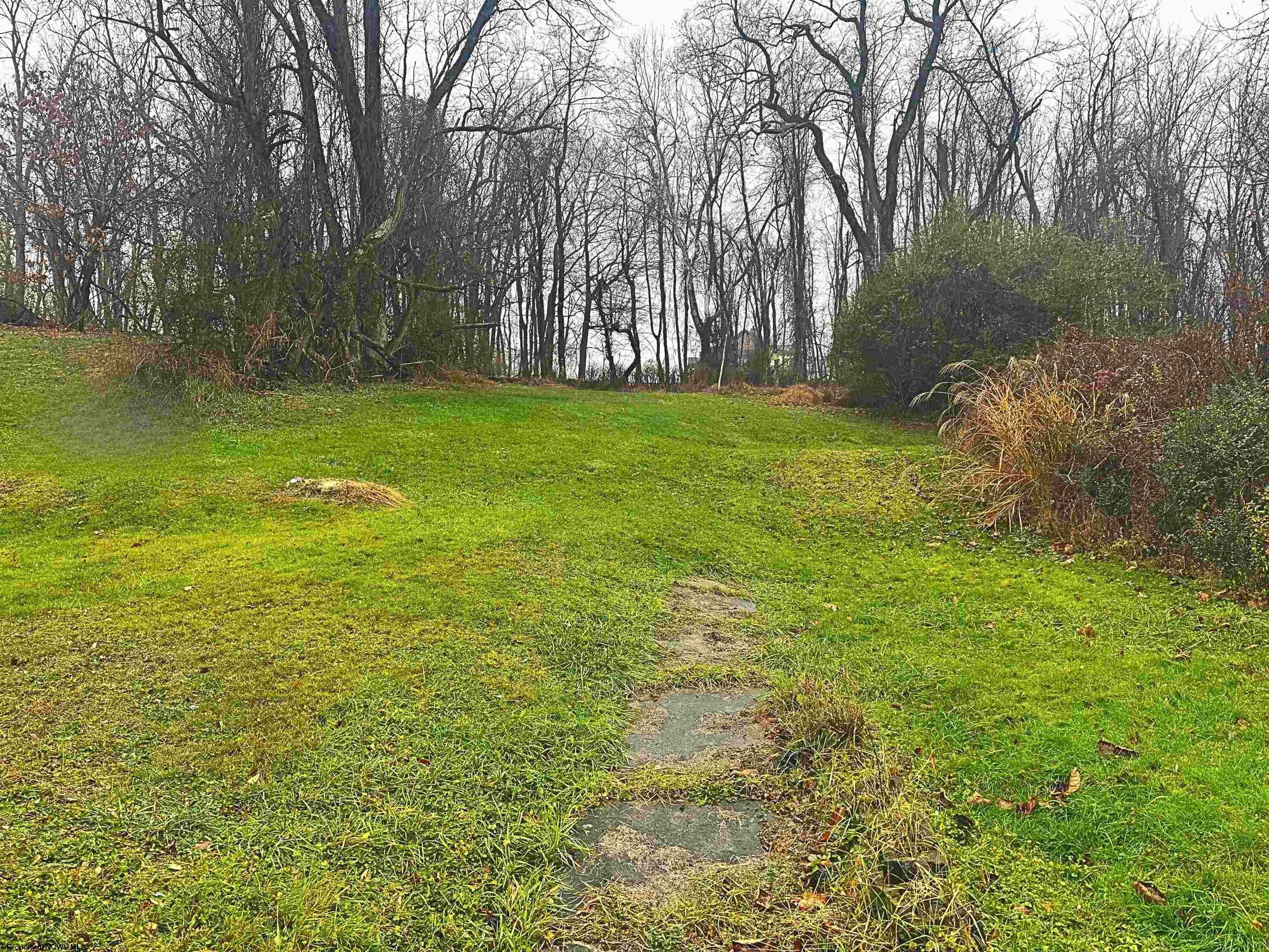 Single Family 2BR 1BA - 607 Palatine Avenue, Fairmont, WV