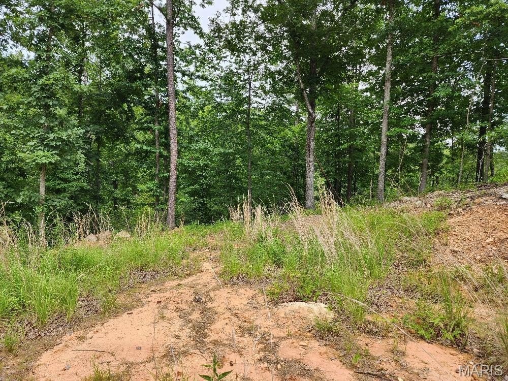 Plots and Land - 300 William, Van Buren, MO
