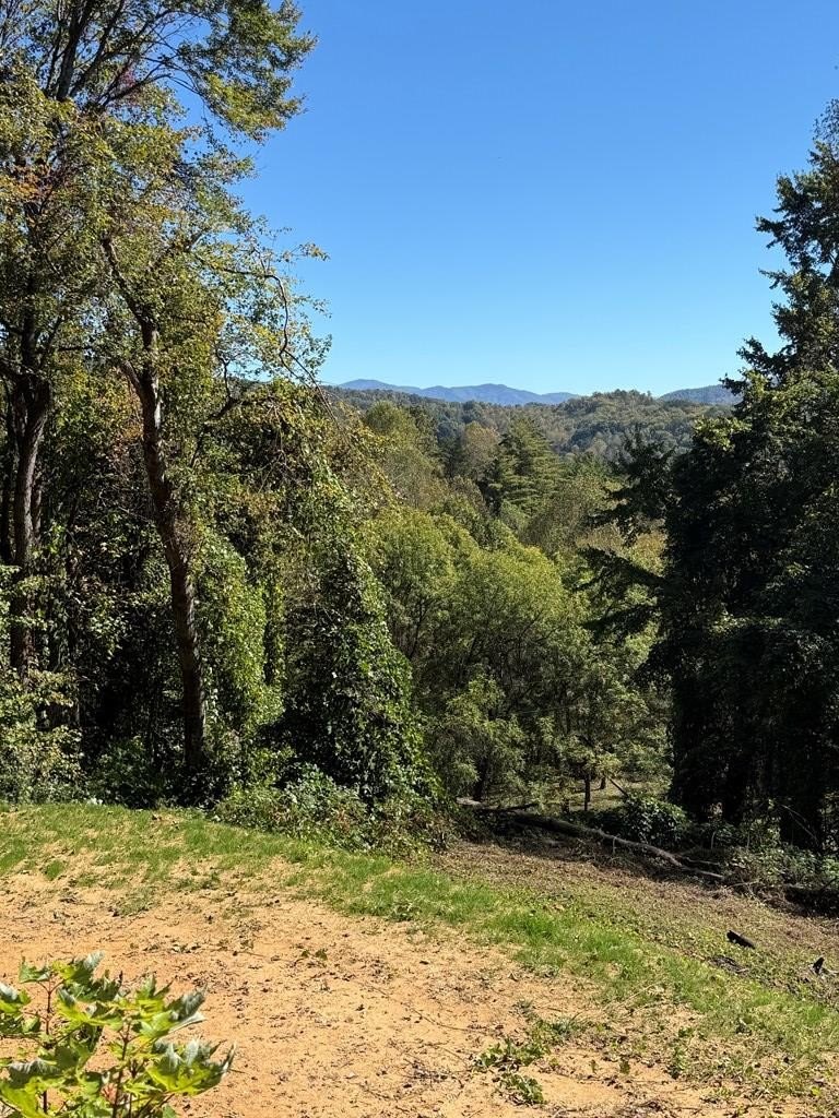 Other - Miners Ridge lot: 3, Bryson City, NC