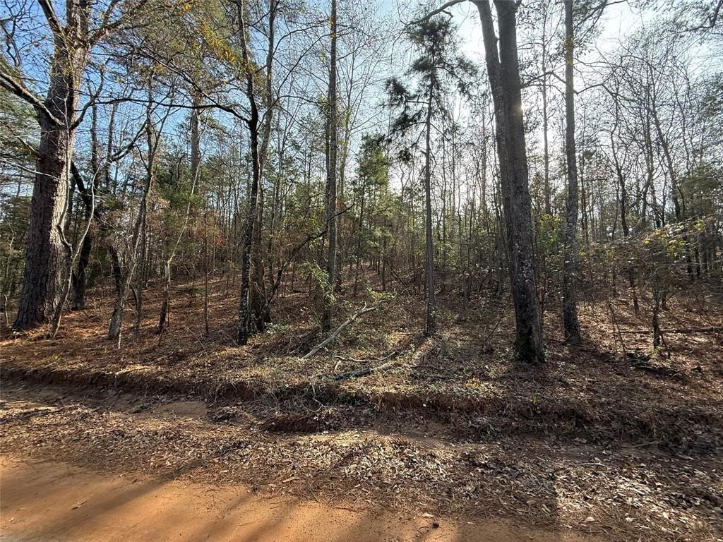 Plots and Land - Tbd CR 2733, Marietta, TX