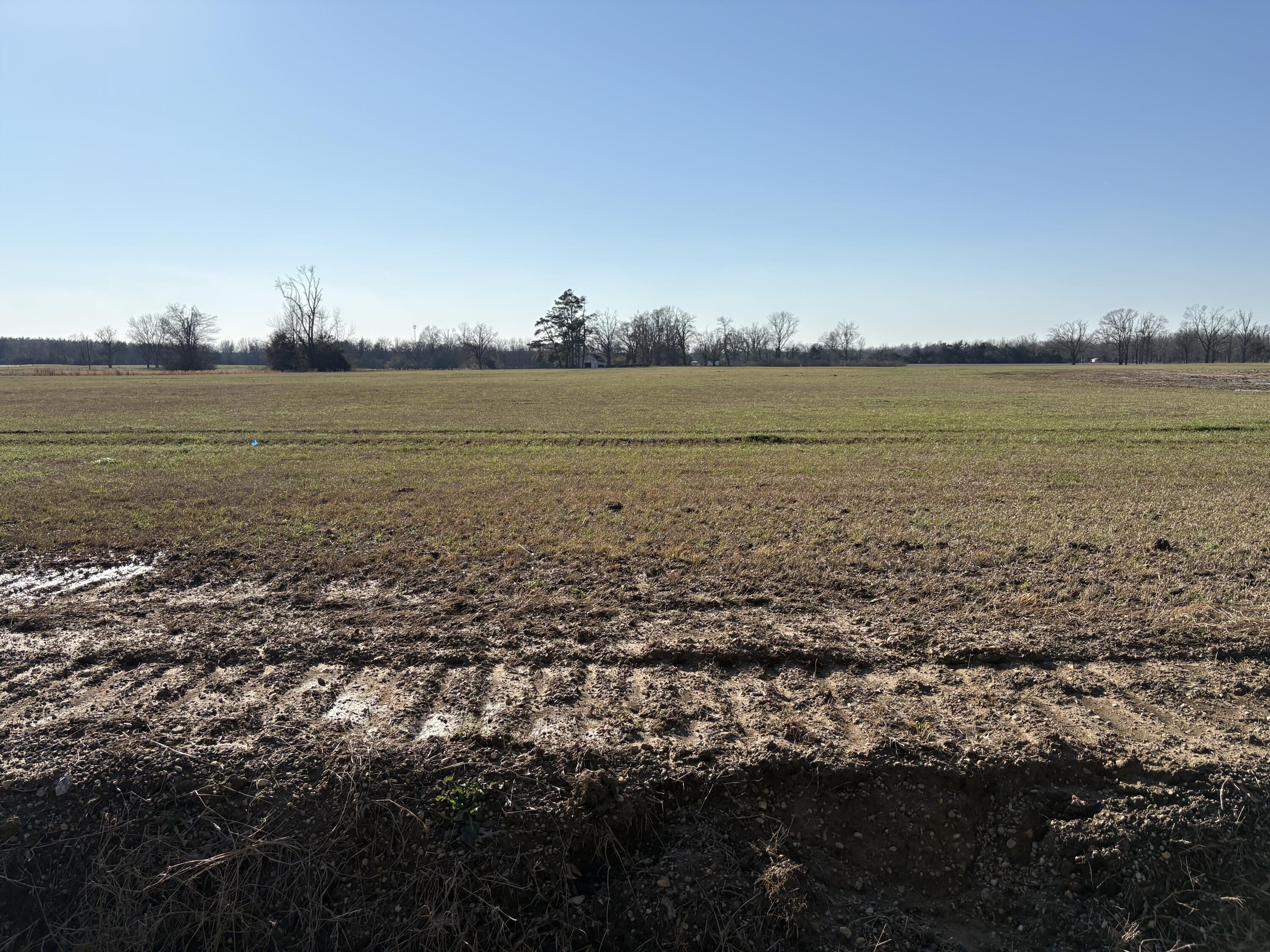 Single Family - County Road 94 Lot 7, New Albany, MS