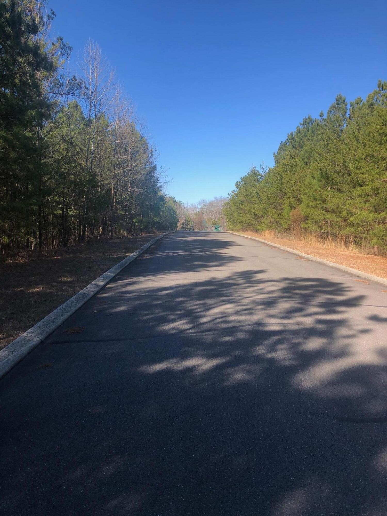 Single Family - 136 Cherokee Ridge Drive, Ocoee, TN