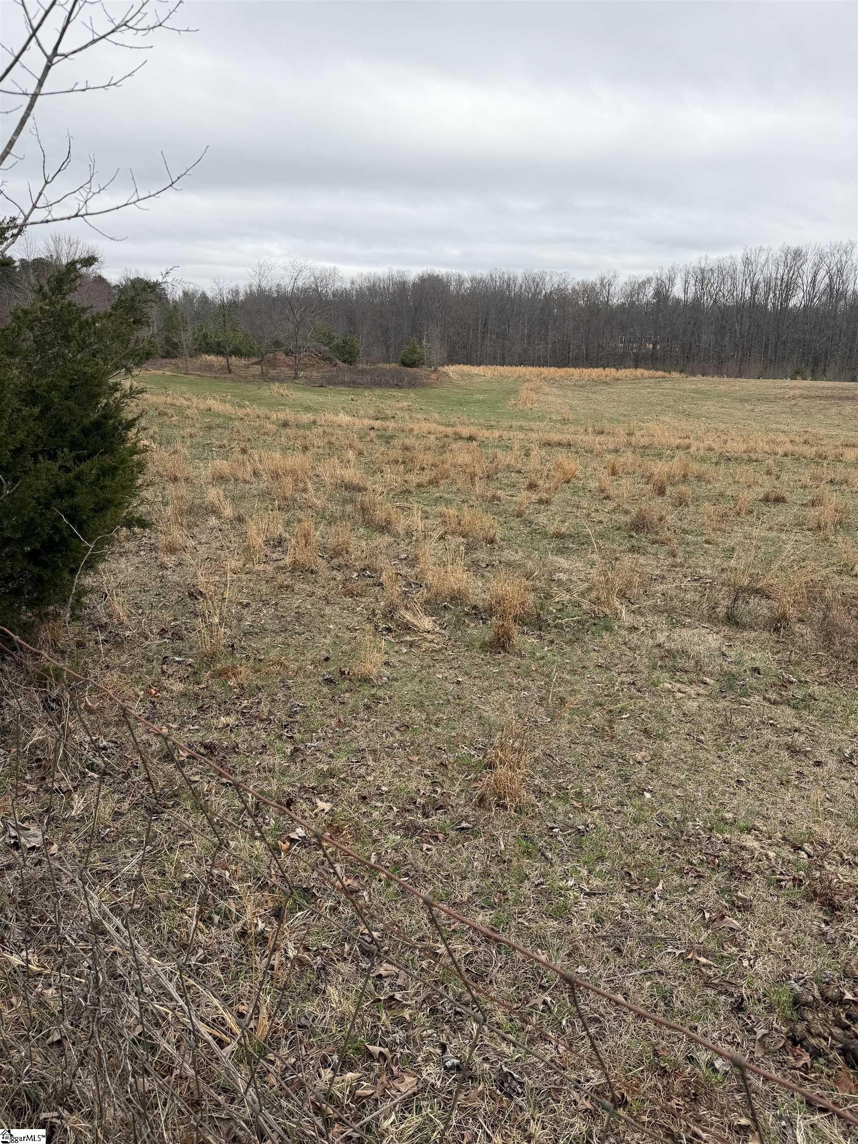 Other - Mount Bethel Road, Pickens, SC