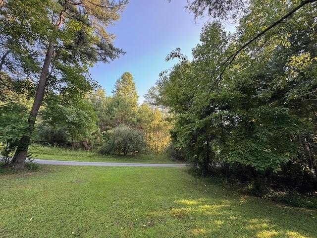 Other - 1.18 Newberry Drive, Mineral Bluff, GA