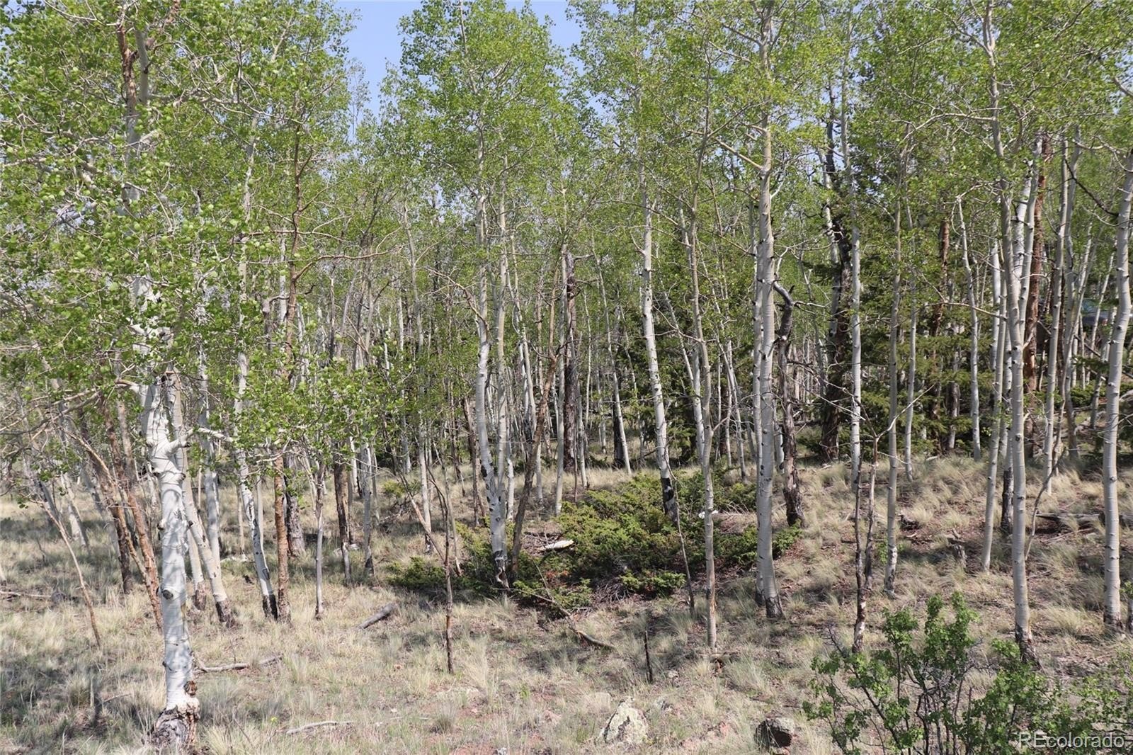Plots and Land - 687 Corral Road, Hartsel, CO