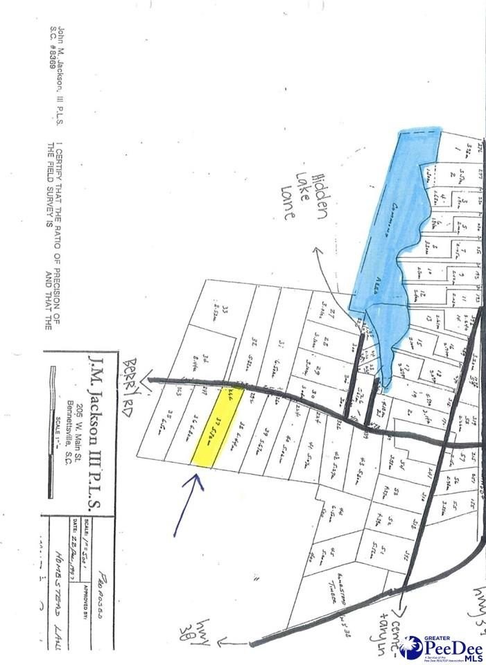 Other - Berry Road lot: 37, Latta, SC