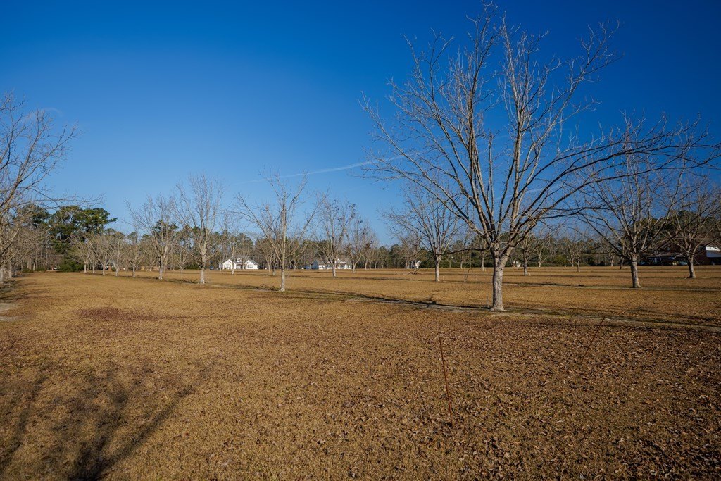 Single Family 4BR 5BA - 3900 Knights Academy Rd, Valdosta, GA