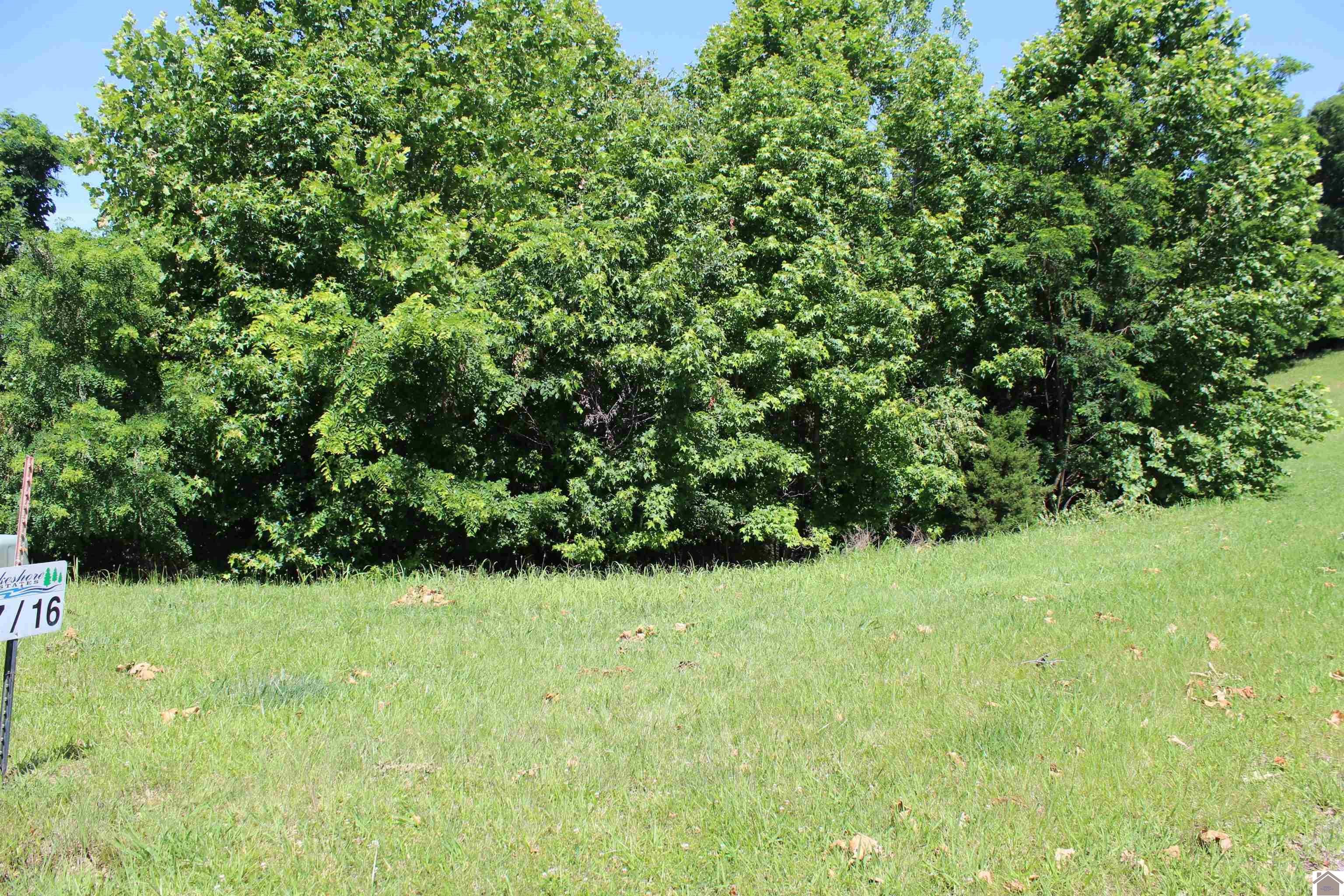 Other - Lots 16 Oak View Lane, Eddyville, KY