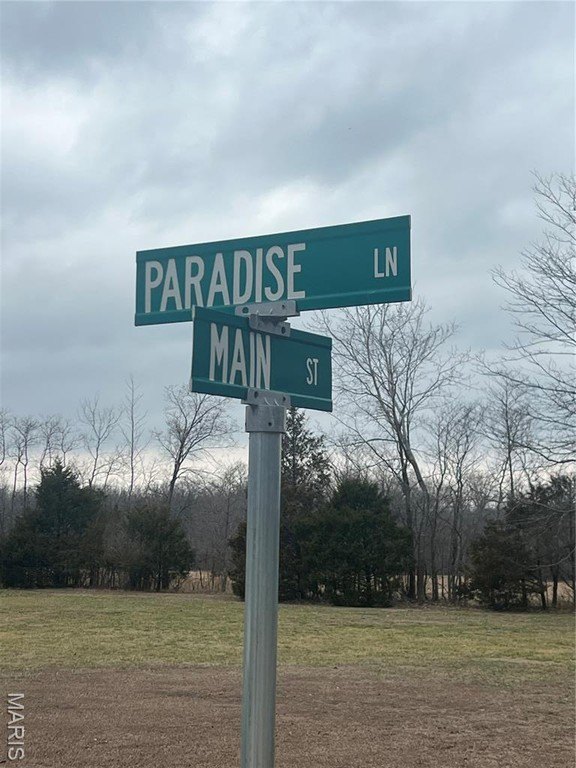 Other - Lot 17,18,19 Paradise Lane, Poplar Bluff, MO