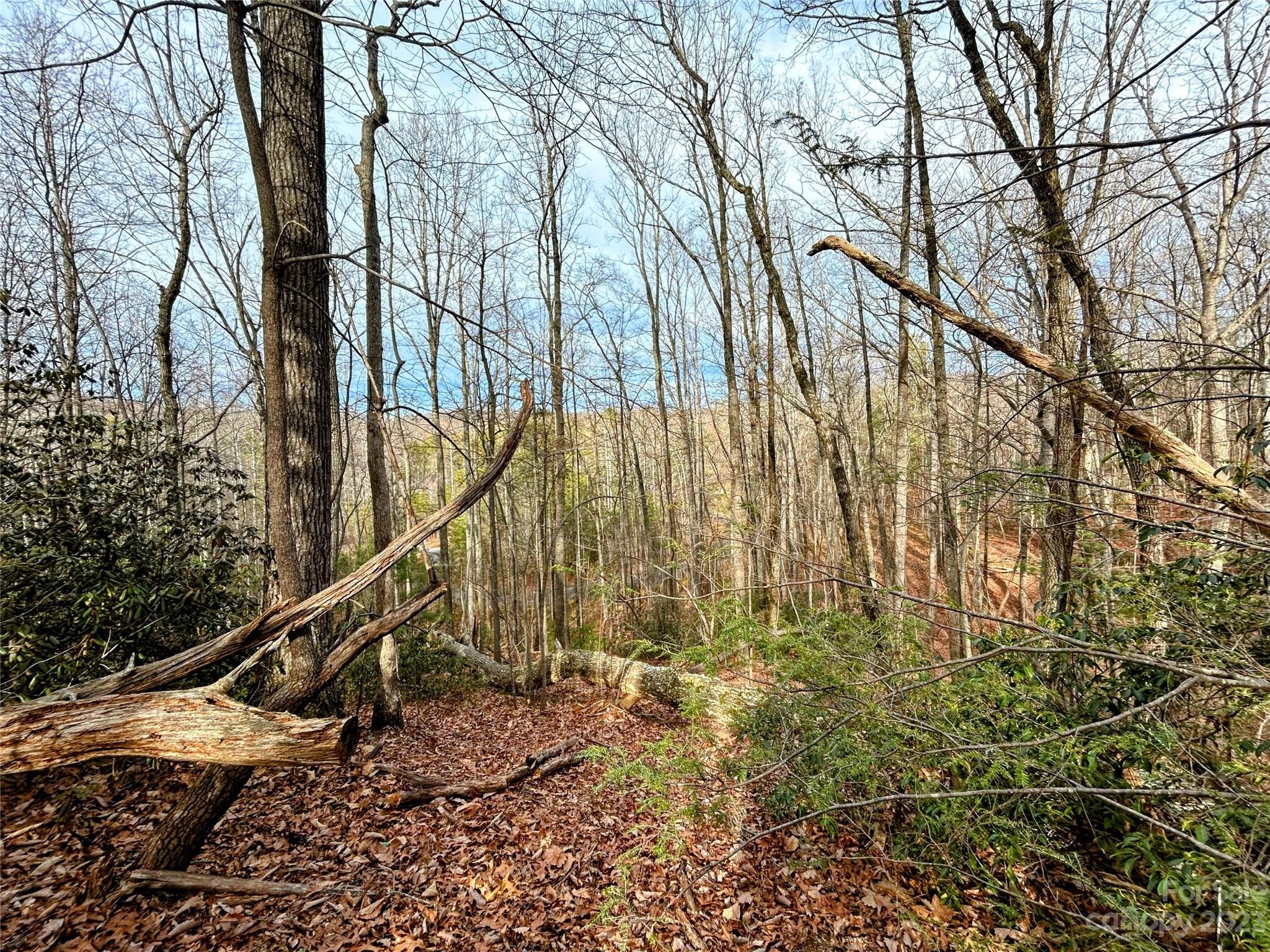 Other - Azalea Way lot: 7, Saluda, NC