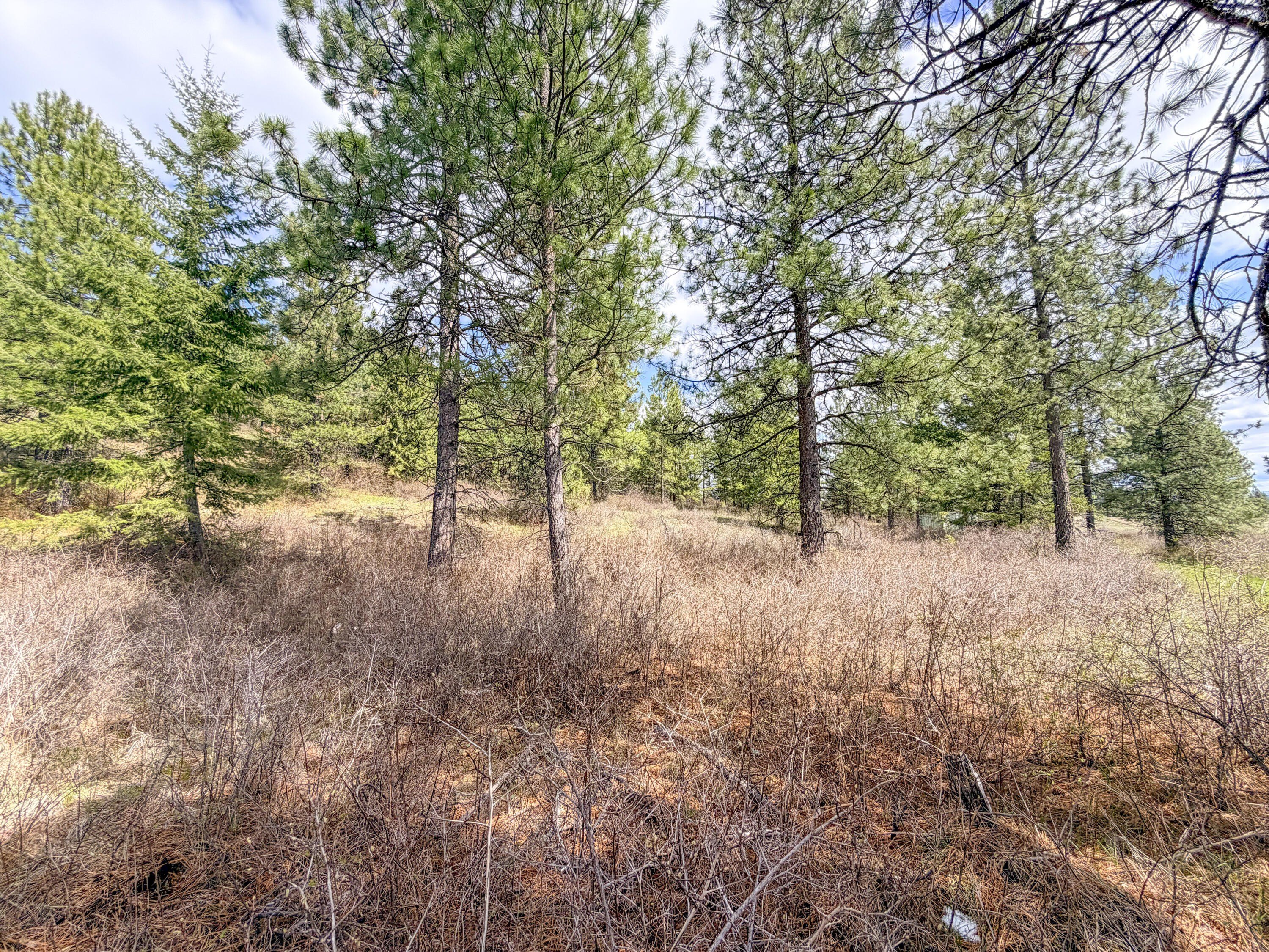 Other - 829 DOMINION SPRINGS WAY, COLVILLE, WA