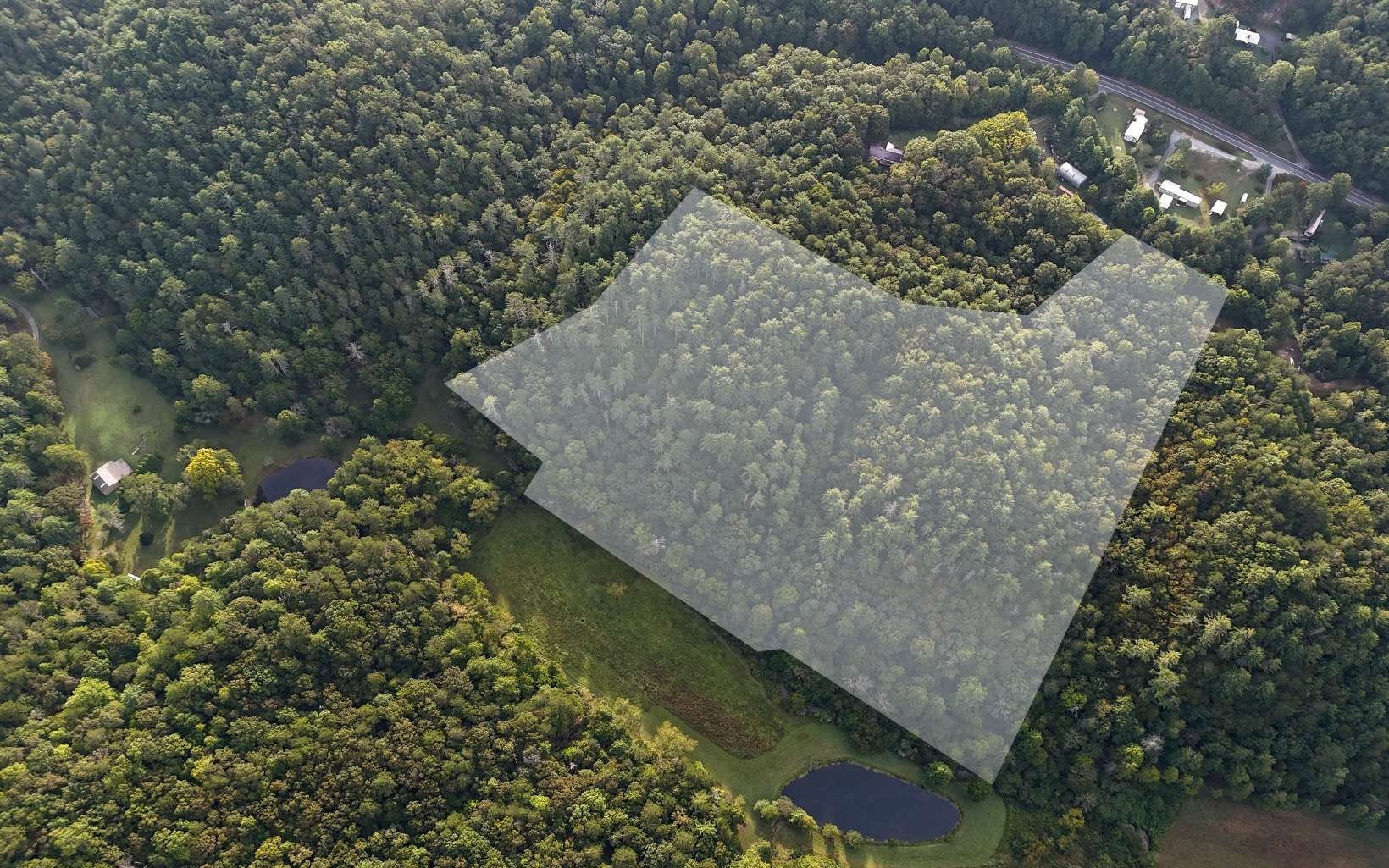Other - Murphy Lane lot: 8, Mineral Bluff, GA