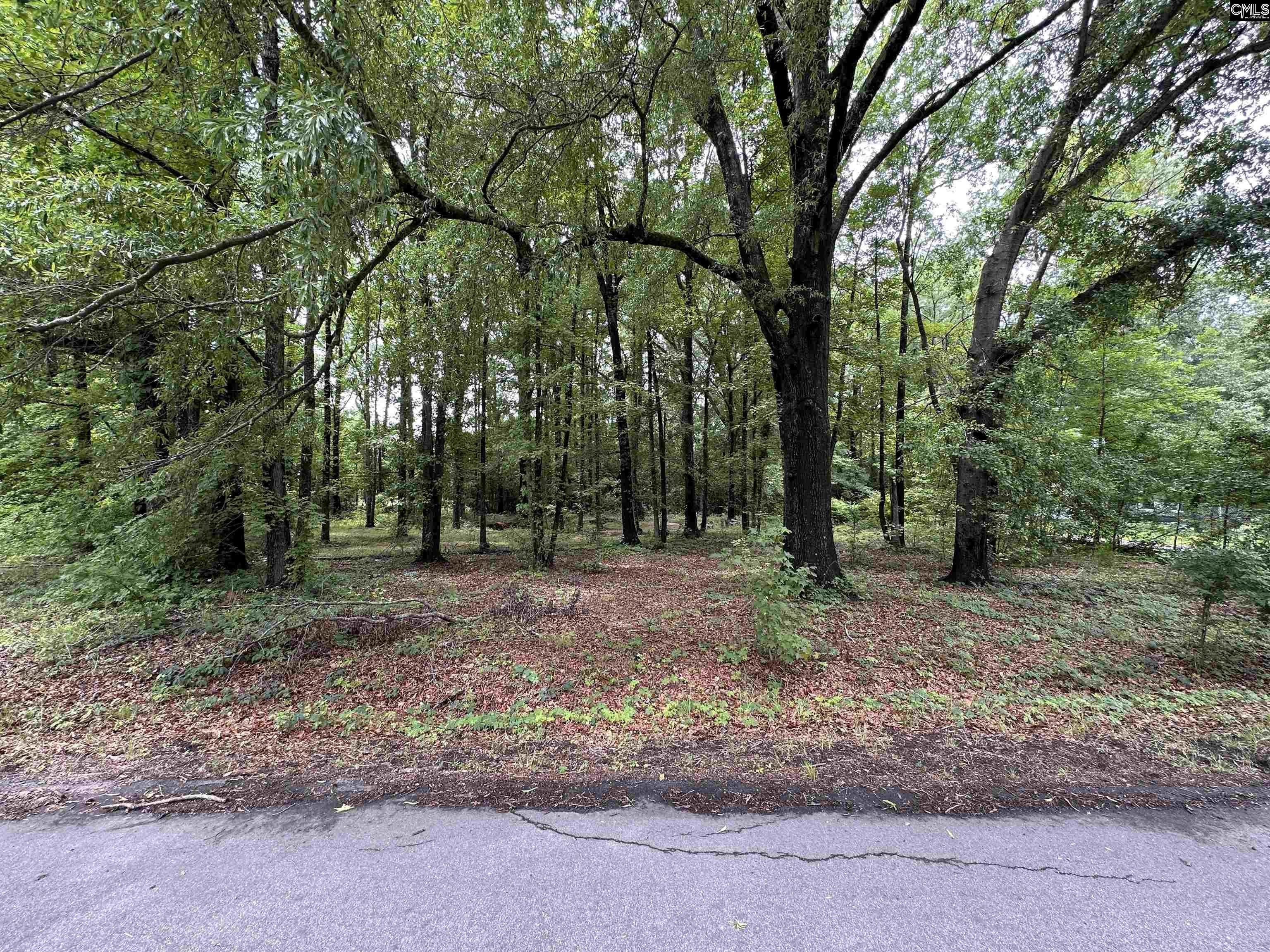 Other - SEWANEE Avenue, Cayce, SC