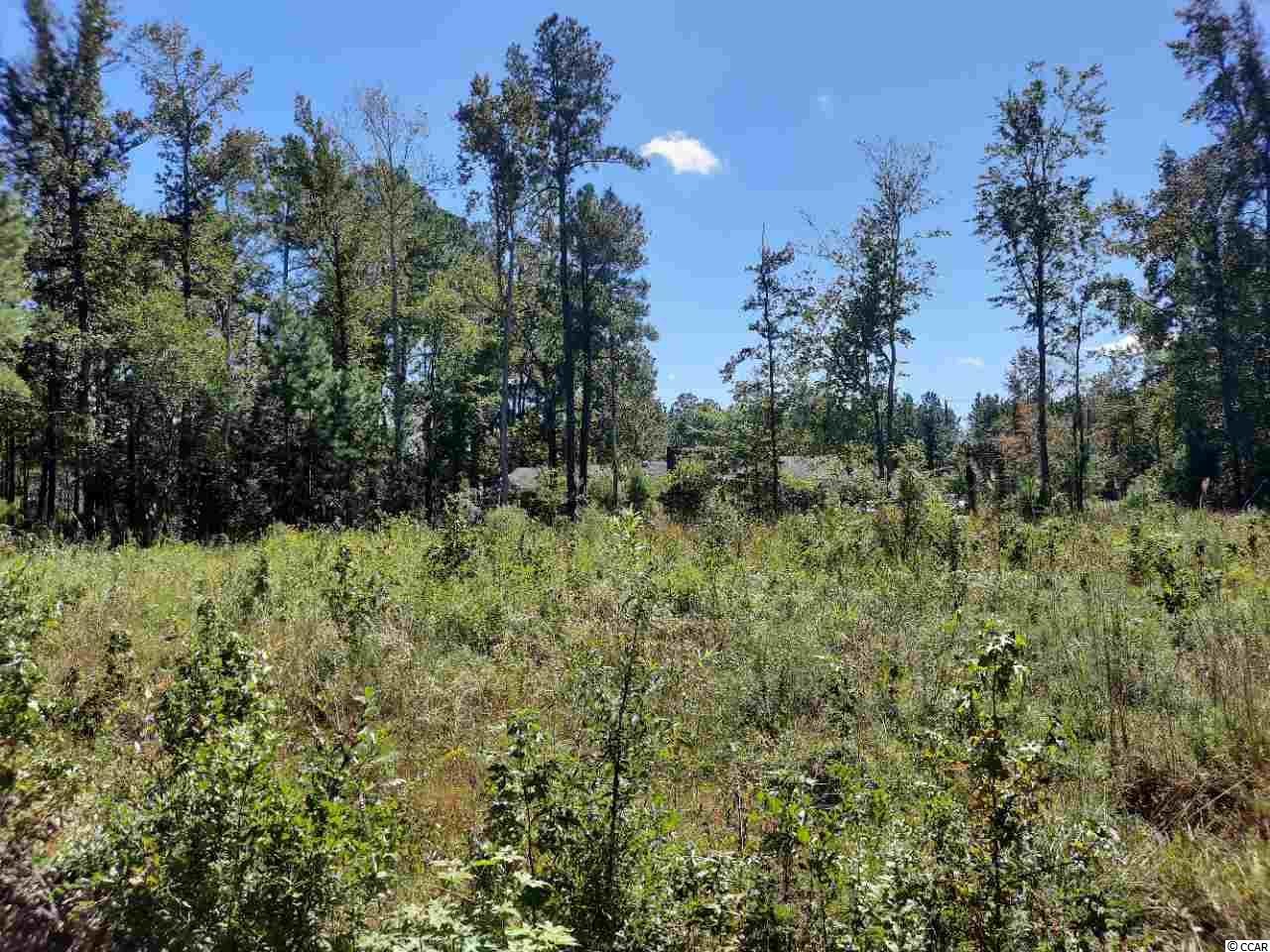 Other - E Wisteria Dr. lot: 60, Hemingway, SC