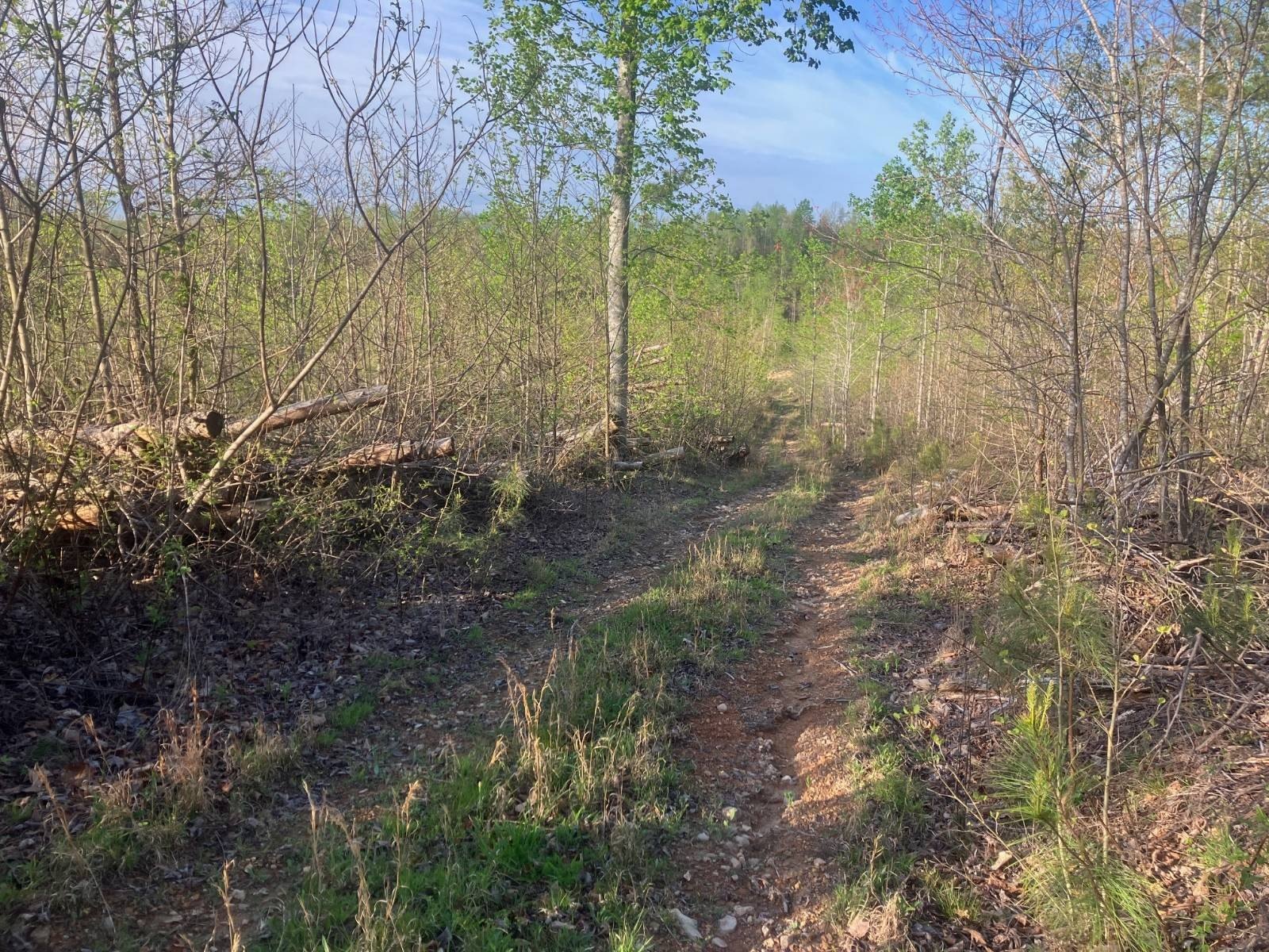 Other - Blowing Springs Rd, Waynesboro, TN