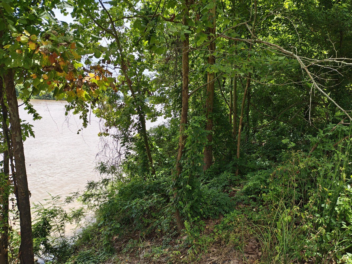 Other - Lapraire Rd, Marksville, LA