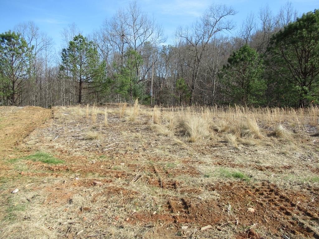 Other - Mountain View Villas Rd lot: 2, Franklin, NC