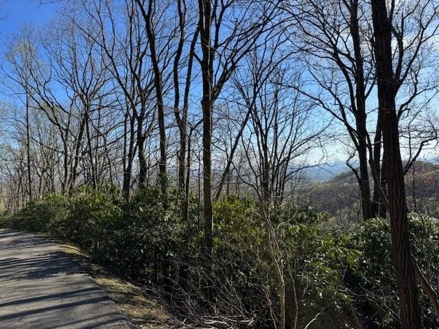 Other - Buck Hollar Rd. lot: 5, Hillsville, VA
