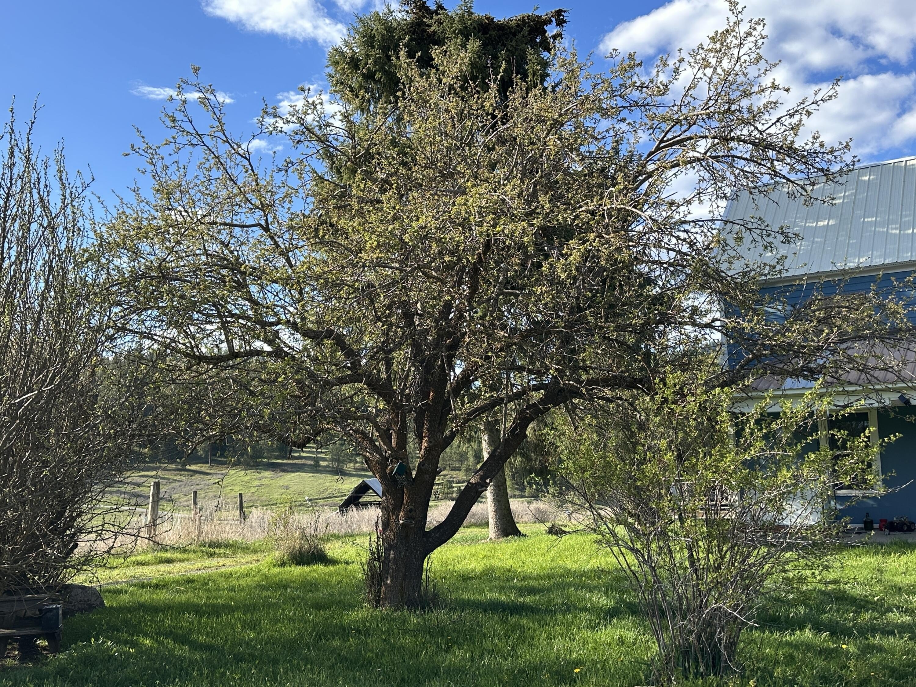 Single Family 3BR 1BA - 2288 CEDONIA-ADDY RD, ADDY, WA
