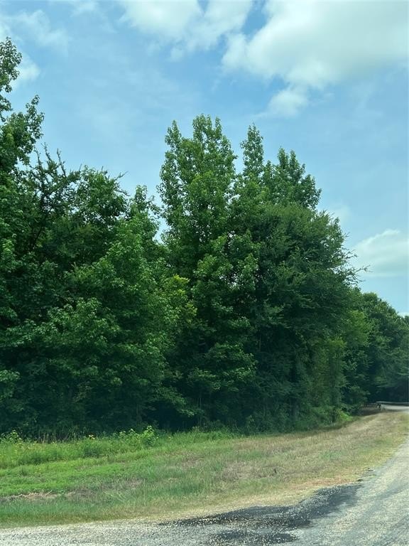 Other - CR 4130, Mount Vernon, TX