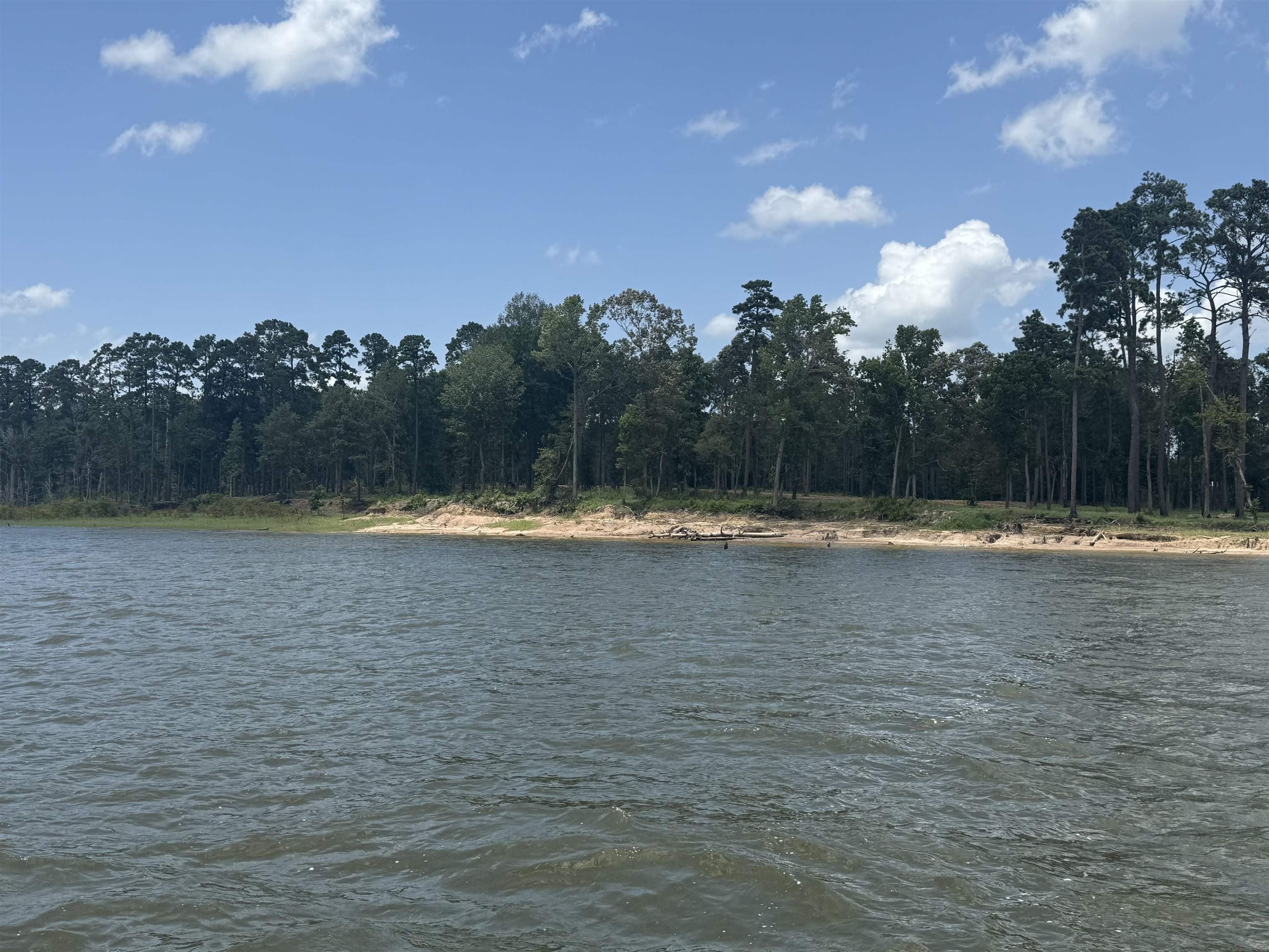 Other - 347 Debbie Lane, Pineland, TX