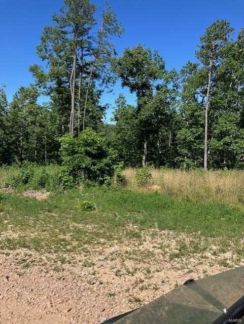 Plots and Land - 38 Madison CR 410, Fredericktown, MO