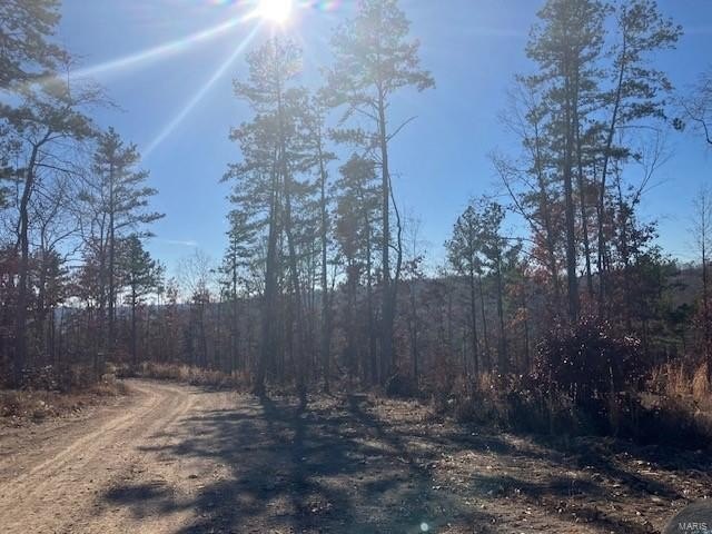 Plots and Land - 54 Madison CR 410, Fredericktown, MO