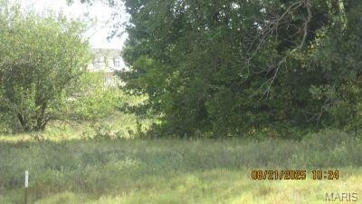 Other - 224 S Interstate Drive, Sikeston, MO