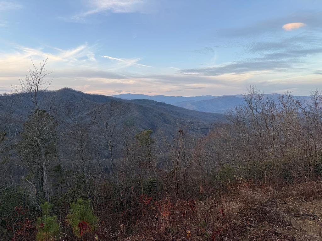 Other - 585 Cardinal Bluff Drive, Whittier, NC