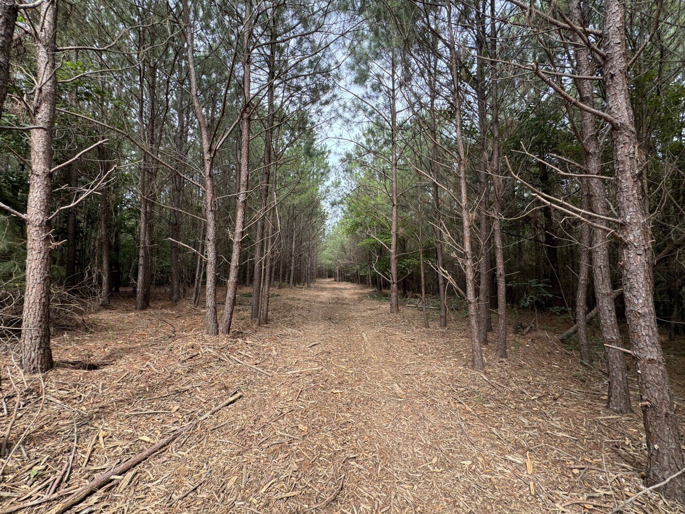 0 Falls Branch Rd Lot 5  