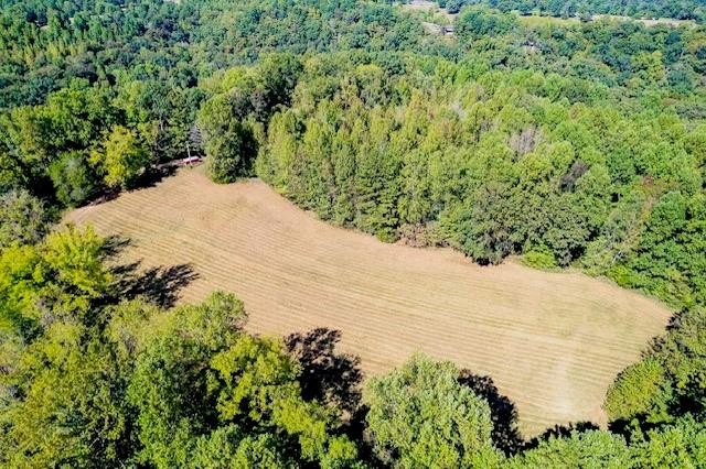 Other - Bolestown Loop Lot 1, ALPINE, TN