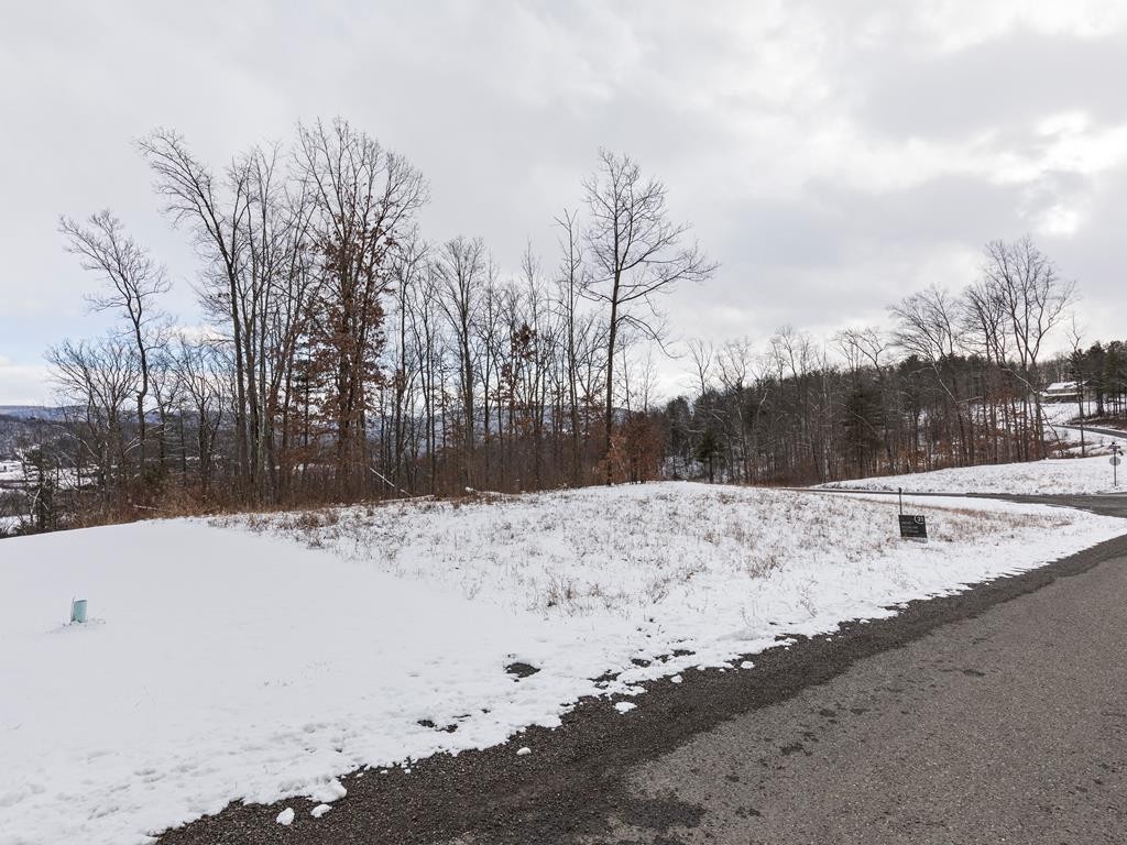 Lot 39 Hemlock Hls Rd
