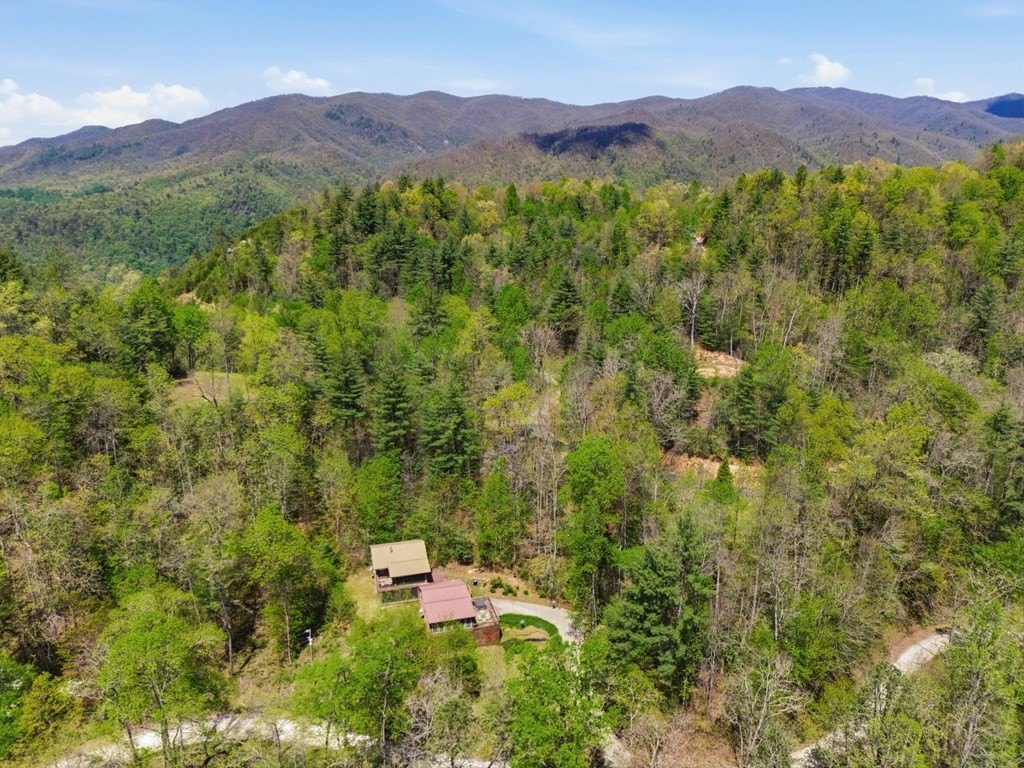 Single Family 3BR 3BA - 4541 Winding Stairs Road, Topton, NC