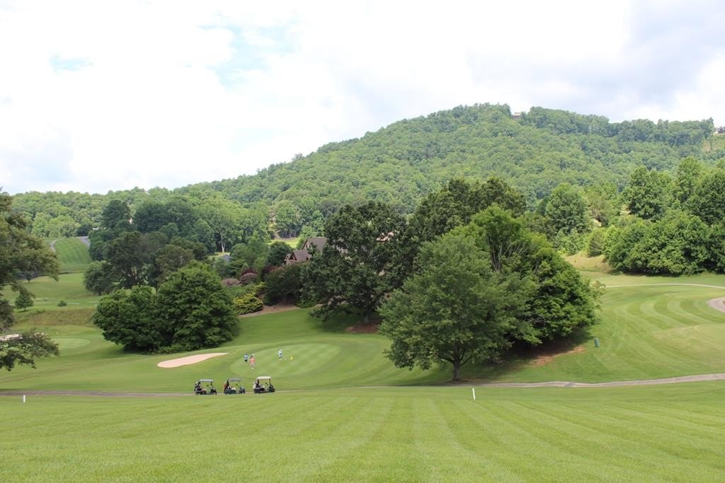 Other - Mountain Harbour Drive lot: 133A, Hayesville, NC